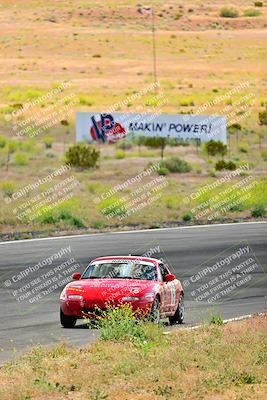 media/May-05-2024-Lucky Dog Racing (Sun) [[8a365fce5b]]/1030am-Turn 3/